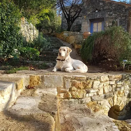 Bed & Breakfast Au Grand Mas *